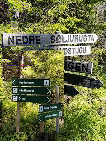 Gamle skilt blir skifta ut